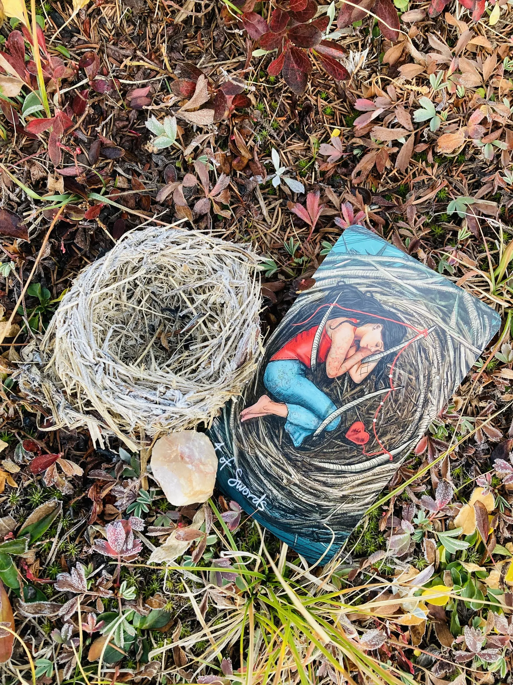 A tarot card resting beside a bird's nest and crystal on frosted autumn foliage
